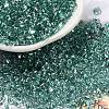 Baking Paint Glass Seed Beads SEED-K009-03B-09-1