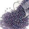 TOHO Round Seed Beads SEED-TR11-0166D-1