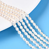Natural Cultured Freshwater Pearl Beads Strands PEAR-N024-04-2AB-1