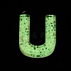Luminous Resin Pendants RESI-I059-U01-3