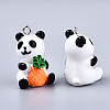 Resin Pendants X-RESI-S356-50-3