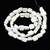 Natural Trochid Shell/Trochus Shell Beads Strands SSHEL-S266-006-2