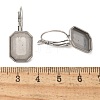 304 Stainless Steel Leverback Earring Finding STAS-C117-12A-P-3