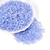 Baking Paint Glass Seed Beads GLAA-T023-43C-3