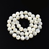 Natural White Shell Bead Strands SSHEL-N003-144H-01-2