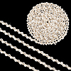 4 Yards Polyester Wavy Lace Ribbon OCOR-PH0004-78A-7