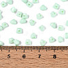 Baking Paint Glass Seed Beads SEED-N007-30B-4