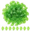 Transparent Acrylic Pendants TACR-YW0001-63-2