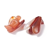 Natural Red Agate Home Display Decorations LS-DJEW-L009A-03-8