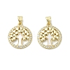 Brass Micro Pave Cubic Zirconia Pendants LS-KK-D384-06G-03-1