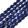 Natural Lapis Lazuli Beads Strands G-B159-A02-2
