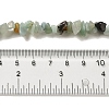 Natural Flower Amazonite Chips Beads Strands G-M205-12-01-10