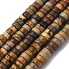 Natural Picasso Jasper/Polychrome Jasper Beads Strands G-L624-I15-3x6mm-2