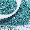 MIYUKI Delica Beads SEED-JP0008-DB0427-1