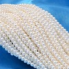 Round Shell Pearl Bead Strands X-BSHE-L011-2.5mm-A013-1