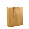 Pure Color Kraft Paper Bags LS-AJEW-G020-D-06-3