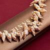 Natural Spiral Shell Beads Strands BSHE-SZ0001-03-4