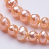Natural Cultured Freshwater Pearl Beads Strands PEAR-F004-03-01-3