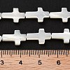 Natural White Shell Beads Strands SSHEL-F0812C-3