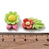 Spring Theme Opaque Resin Decoden Cabochons RESI-D010-07-3