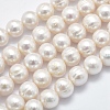 Natural Cultured Freshwater Pearl Beads Strands PEAR-K003-11A-1