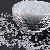 12/0 Glass Seed Beads SDB2201-1