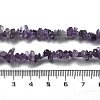Natural Supper 7 Rutilated Quartz Chip Beaded Necklaces for Men Women NJEW-G159-01U-5