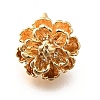 Brass Charms KK-M318-27G-1