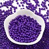 Baking Paint Glass Seed Beads SEED-H002-I-B516-2