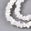 Electroplate Opaque Glass Beads Strands EGLA-Q139-01A-C02-3