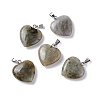 Natural Labradorite Pendants G-G956-B24-FF-2