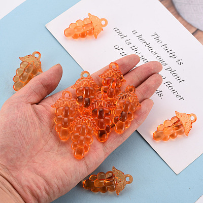 Autumn Theme Transparent Acrylic Beads TACR-S154-60B-921-1