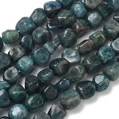 Natural Apatite Beads Strands G-R445-8x10-24A-1