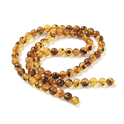 Natural Amber Beads Strands G-L095-B01-5mm-04-1