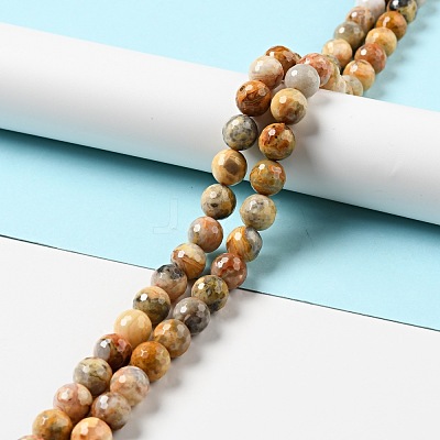 Natural Crazy Lace Agate Beads Strands G-E571-36C-1
