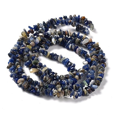 Natural Sodalite Beads Strands G-E607-A11-1