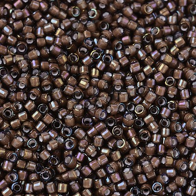 MIYUKI Delica Beads X-SEED-J020-DB1790-1