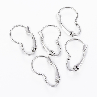 Tarnish Resistant 304 Stainless Steel Leverback Earring Findings STAS-G161-20B-1
