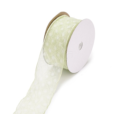 20 Yards Polyester Mesh Ribbon SRIB-P021-E06-1