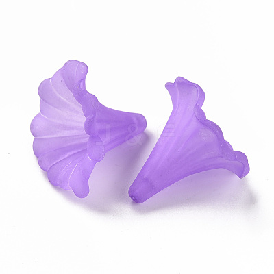 Transparent Acrylic Beads BSF796-C26-1