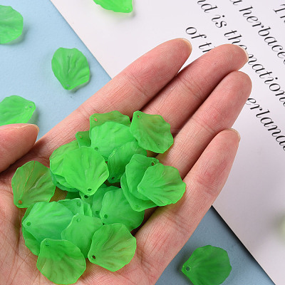 Transparent Frosted Acrylic Pendants MACR-S371-01A-734-1