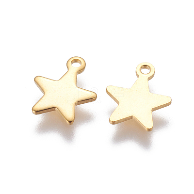 304 Stainless Steel Charms X-STAS-G190-27G-A-1