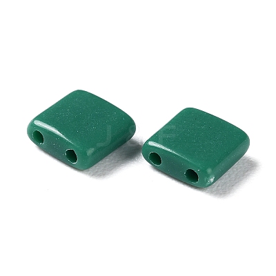 Opaque Acrylic Slide Charms OACR-Z010-01P-1
