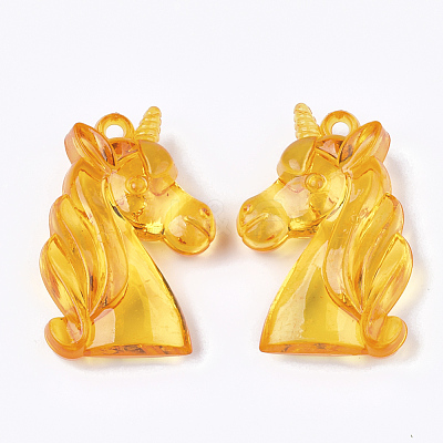 Transparent Acrylic Pendants X-TACR-S133-100-1