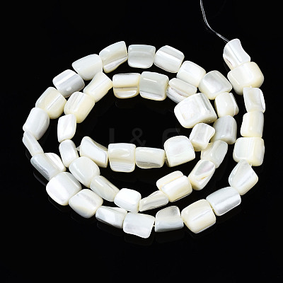 Natural Trochid Shell/Trochus Shell Beads Strands SSHEL-S266-006-1