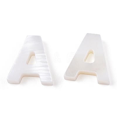 Natural Freshwater Shell Beads SHEL-S278-072A-1