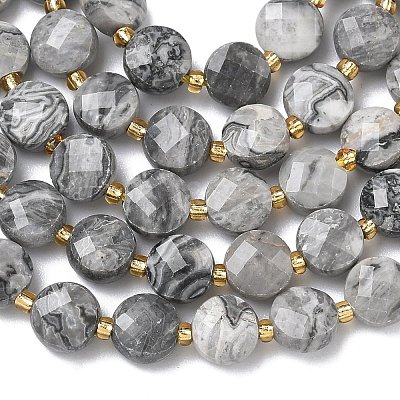 Natural Map Stone Beads Strands G-K389-B84-01-1