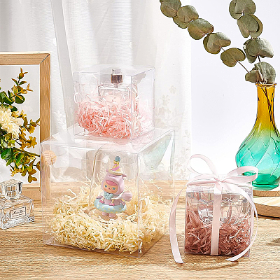 Transparent Plastic PET Box Gift Packaging CON-WH0052-12x12cm-1