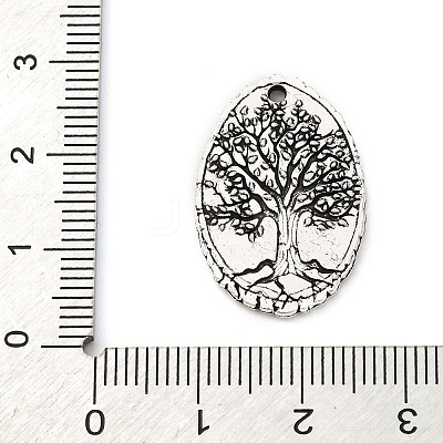 Tibetan Style Alloy Pendants FIND-A053-05C-AS-1