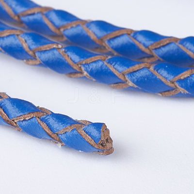 Braided Leather Cords WL-P002-04-A-1